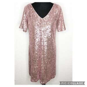 Ann Taylor pink sequin v neck shift dress size 2 NWT